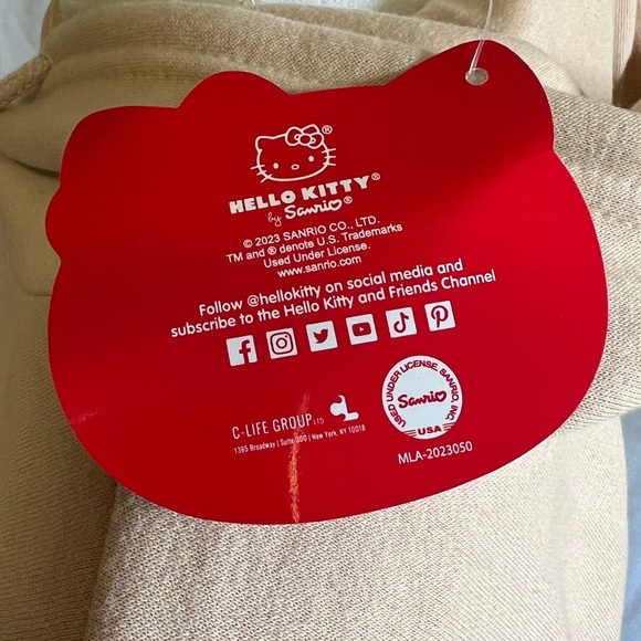 COPY - HELLO KITTY HOODIE NWT - Picture 4 of 10